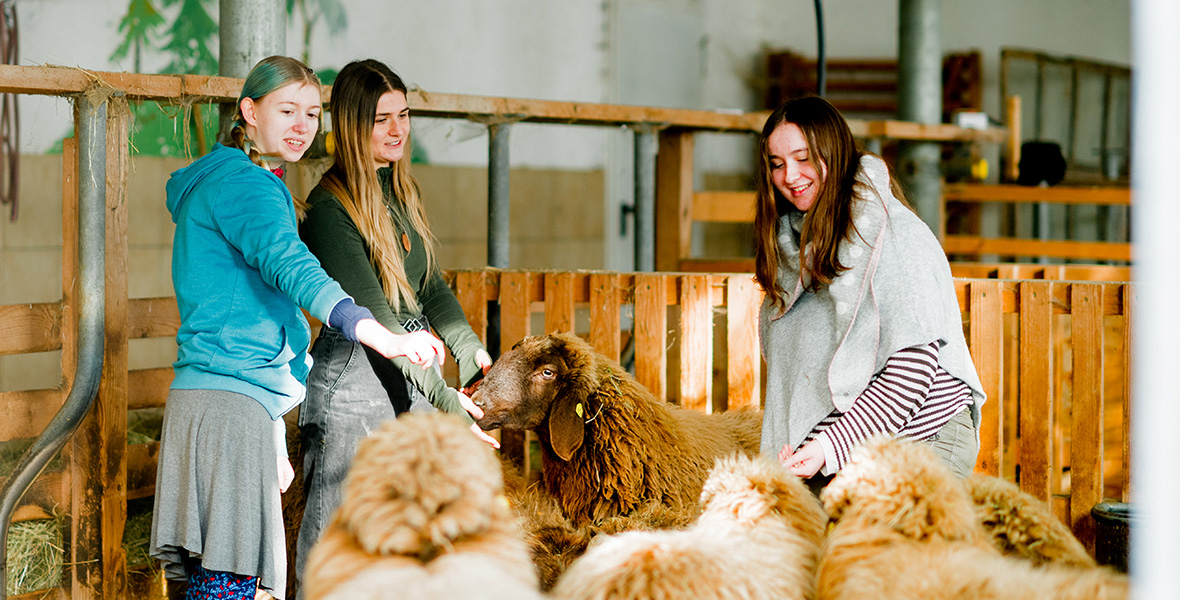 Tiergestützte Pädagogik mit Schafen