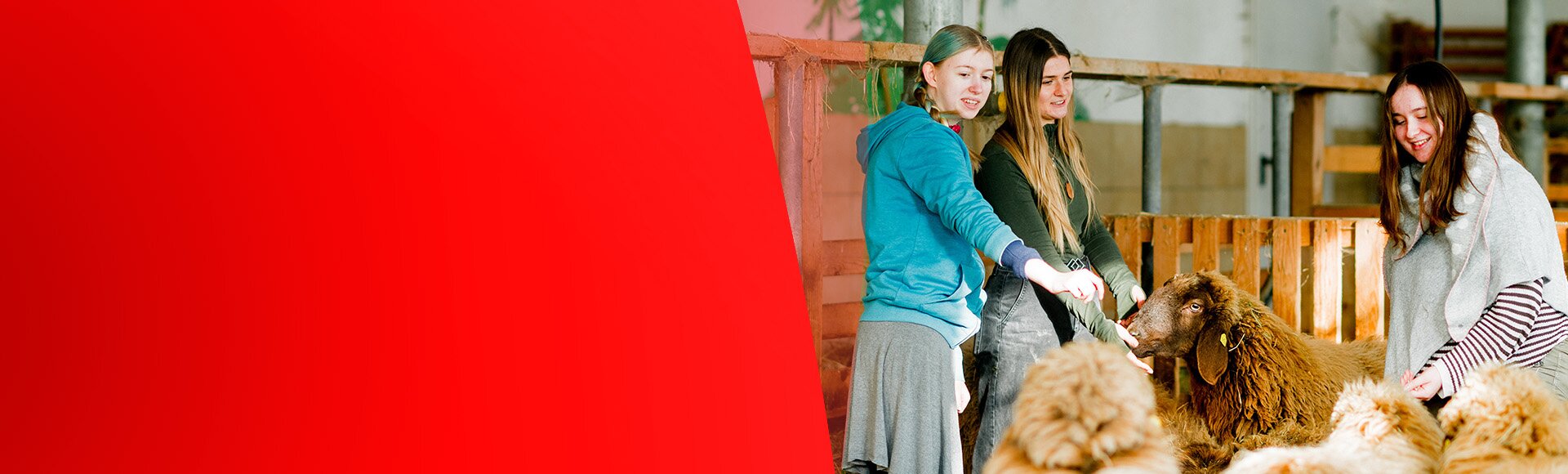 KJF Stellenanagebote