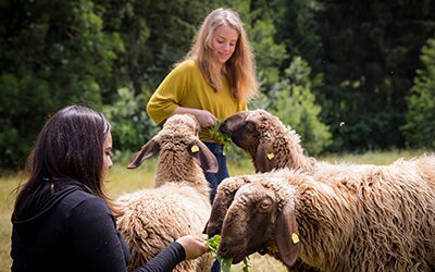 Mädchenprojekt 2024: Erlebnistage mit Tieren auf dem Krümelhof